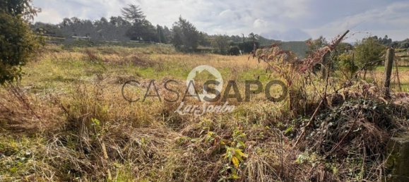 Grundstück in Barcelos, Portugal, Nr. 325982 10