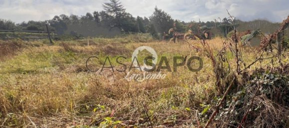 Grundstück in Barcelos, Portugal, Nr. 325982 14