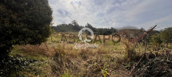 Grundstück in Barcelos, Portugal, Nr. 325982 17