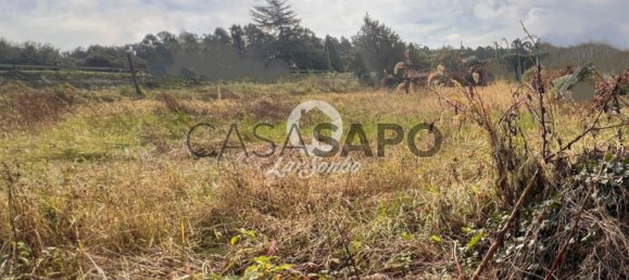 Grundstück in Barcelos, Portugal, Nr. 325982 4