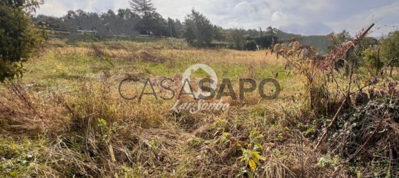 Grundstück in Barcelos, Portugal, Nr. 325982 6