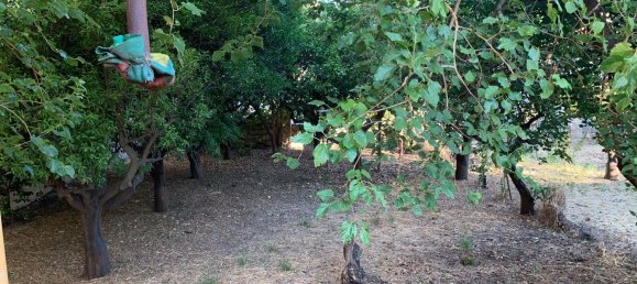 Land in Oria, Italy No. 346862 4