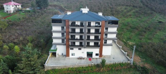 44 rooms Hotel in Trabzon, Turkey No. 20780 5