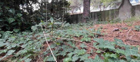 Apartamento de 3 divisões em Rosignano Marittimo, Italy N.º 49221 30