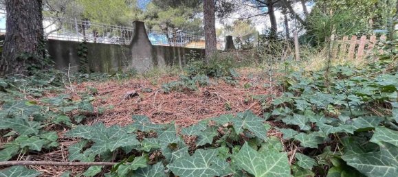 Apartamento de 3 divisões em Rosignano Marittimo, Italy N.º 49221 22