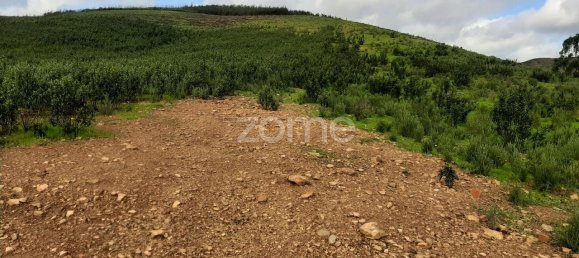 30000m² Land in Mexilhoeira Grande, Portugal No. 67655 9