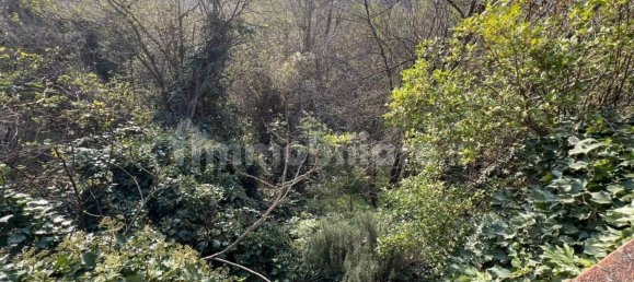 8 bedrooms House in Altavilla Monferrato, Italy No. 116529 42