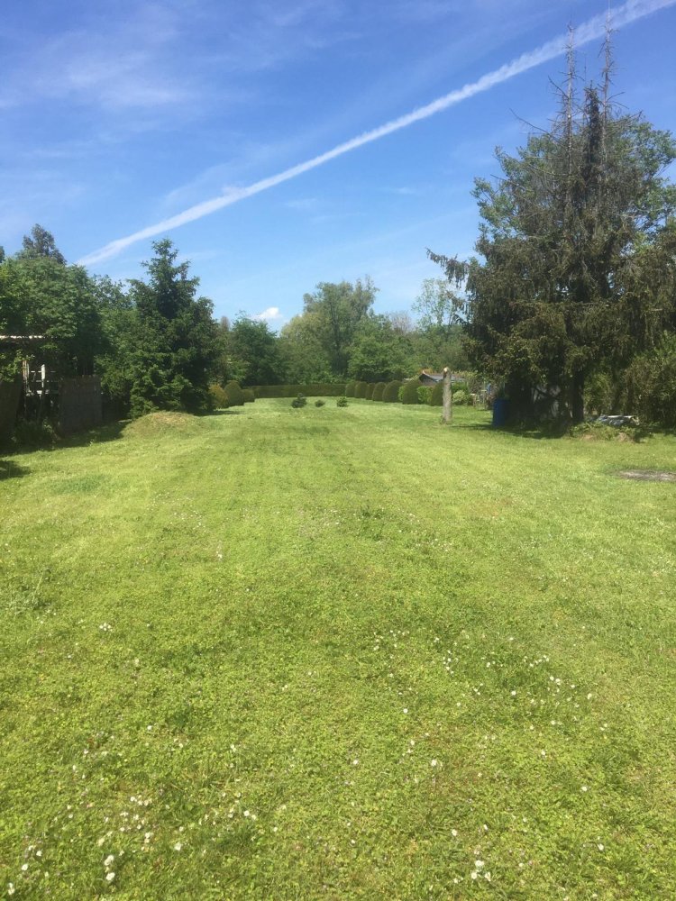 Terrain à Frankfurt am Main, Germany No. 217874