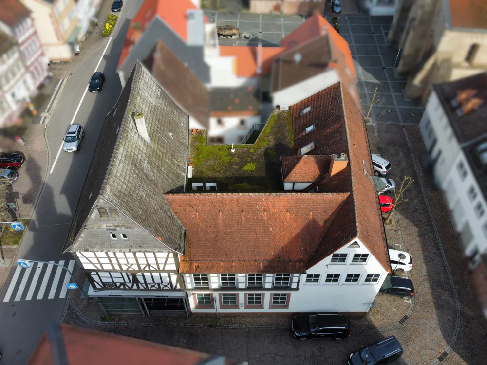 1105m² Building in Kaiserslautern, Germany No. 203188