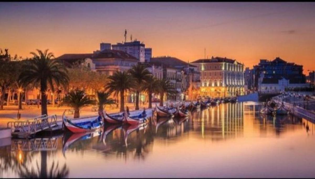 استوديو في Aveiro, Portugal رقم 1131