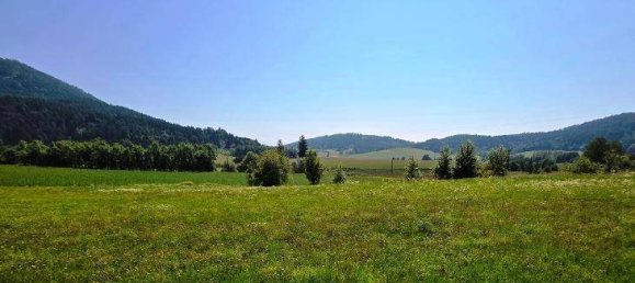 2590m² Land in Liebenfels, Austria No. 248284 2