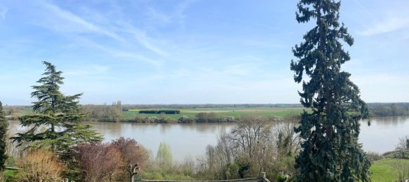 7 chambres Maison à Meung-sur-Loire, France No. 38957 11