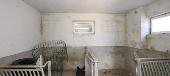 9 rooms House in Ruden, Austria No. 135409 19