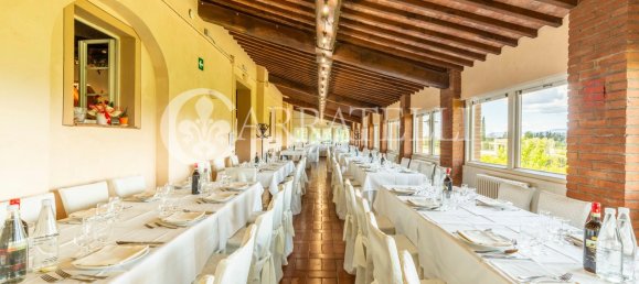 15 bedrooms Castles in Palaia, Italy No. 148932 19