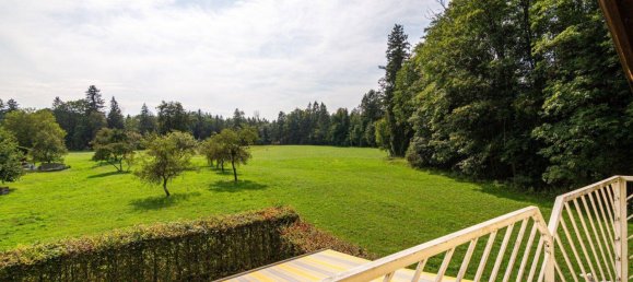 4-Zimmer Haus in Steinerkirchen an der Traun, Austria, Nr. 234992 16