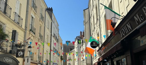 1 Schlafzimmer Wohnung in Nantes, France, Nr. 283625 11