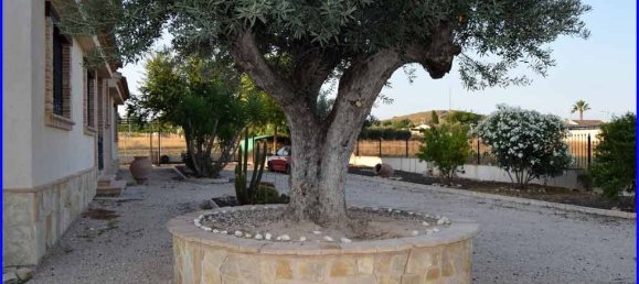 3 bedrooms House in Santomera, Spain No. 130866 13