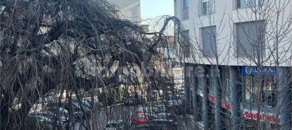 Estudio en Como, Italy No. 318257 13