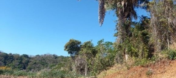  قطعة أرض في Nicoya, Costa Rica رقم 1677 3