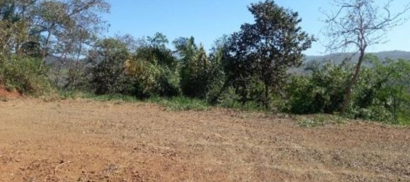  قطعة أرض في Nicoya, Costa Rica رقم 1677 6