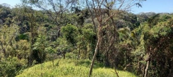  قطعة أرض في Nicoya, Costa Rica رقم 1677 5