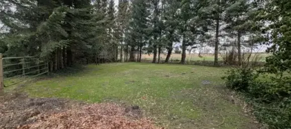 11-Zimmer Haus in Cuxhaven, Germany, Nr. 141463 12