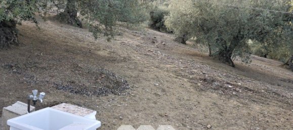 3 bedrooms House in Alcaucin, Spain No. 45171 9