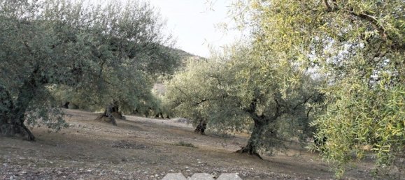 3 bedrooms House in Alcaucin, Spain No. 45171 29