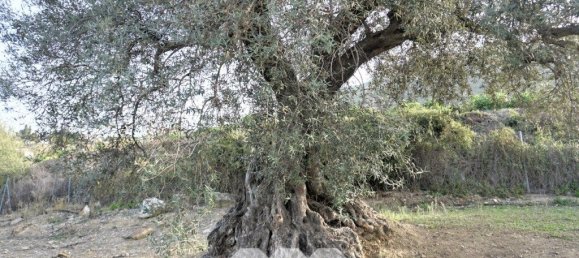 3 bedrooms House in Alcaucin, Spain No. 45171 11