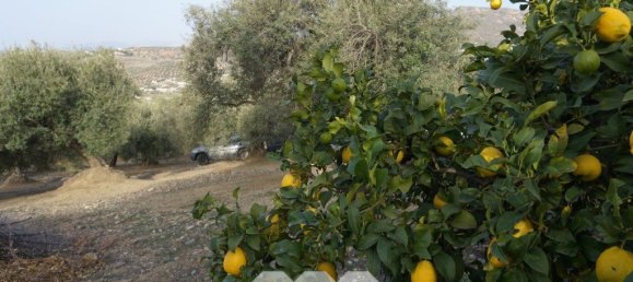 3 bedrooms House in Alcaucin, Spain No. 45171 7