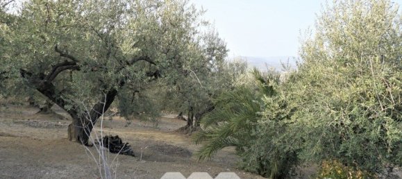 3 bedrooms House in Alcaucin, Spain No. 45171 28