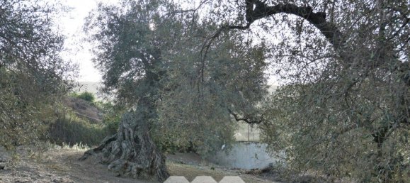 3 bedrooms House in Alcaucin, Spain No. 45171 27