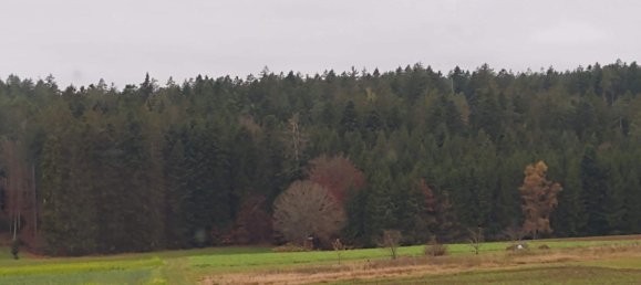 1 Schlafzimmer Wohnung in Calw, Germany, Nr. 239567 12