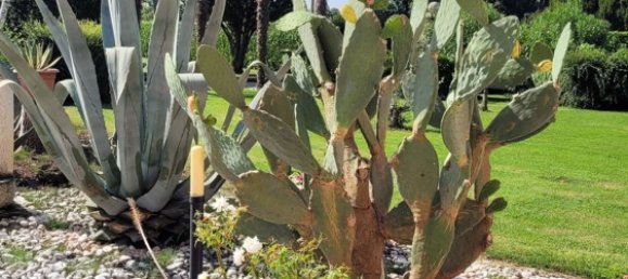 10 bedrooms Villa in San Giorgio in Bosco, Italy No. 334869 16