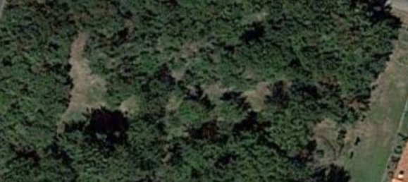 Terrain à Clerlande, France 600m² No. 59074 2