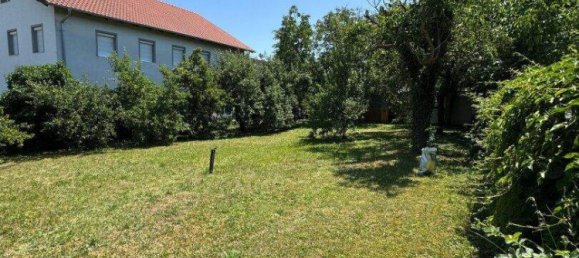  Land in Rust, Austria No. 145854 10