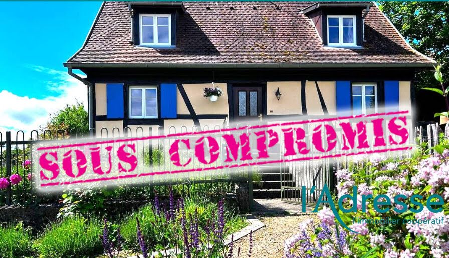 2 bedrooms House in Steinbrunn-le-Haut, France No. 245848