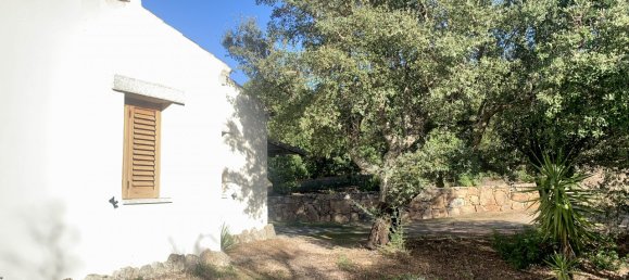 Villa T3 em Telti, Italy N.º 60833 26