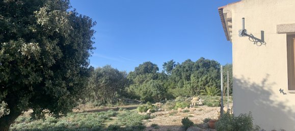 Villa T3 em Telti, Italy N.º 60833 24