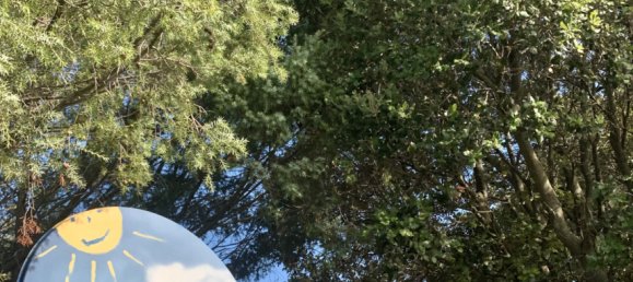 Villa T3 em Telti, Italy N.º 60833 35