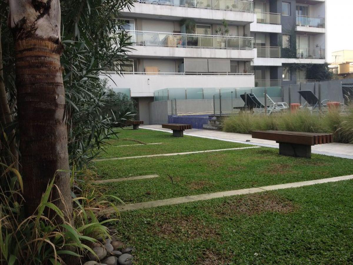 Studio in Palermo, Argentina No. 66547