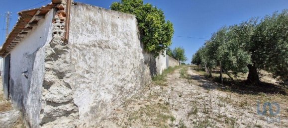 3 bedrooms Castles in Santarem, Portugal No. 144262 29