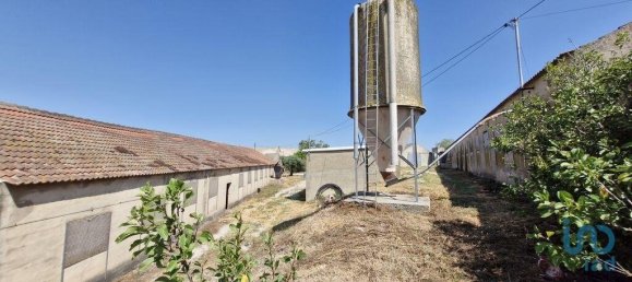 3 bedrooms Castles in Santarem, Portugal No. 144262 28