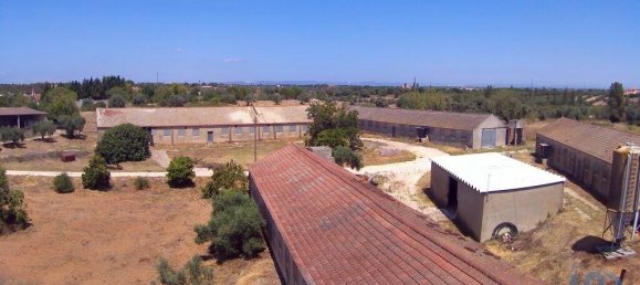 3 bedrooms Castles in Santarem, Portugal No. 144262 11