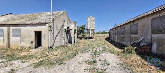 3 bedrooms Castles in Santarem, Portugal No. 144262 24