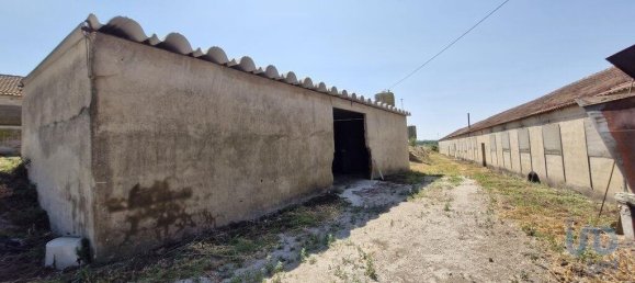 3 bedrooms Castles in Santarem, Portugal No. 144262 25