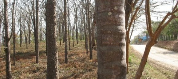  Land in Santa Cruz, Costa Rica No. 1858 5