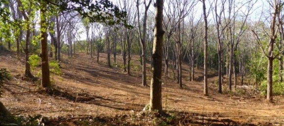  Land in Santa Cruz, Costa Rica No. 1858 4