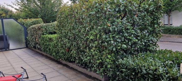 2 chambres Appartement à Hœnheim, France No. 90052 2