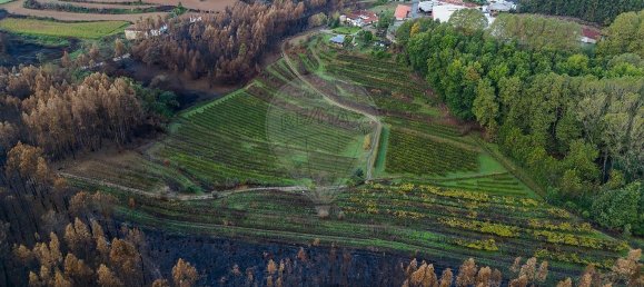 3 bedrooms House in Gondomar, Portugal No. 22906 46